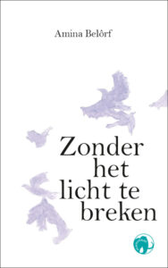 Zonder het licht te breken - cover